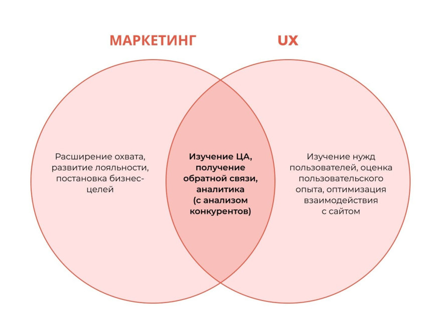 Анализ веб-сайта: пример, методы и создание отчета