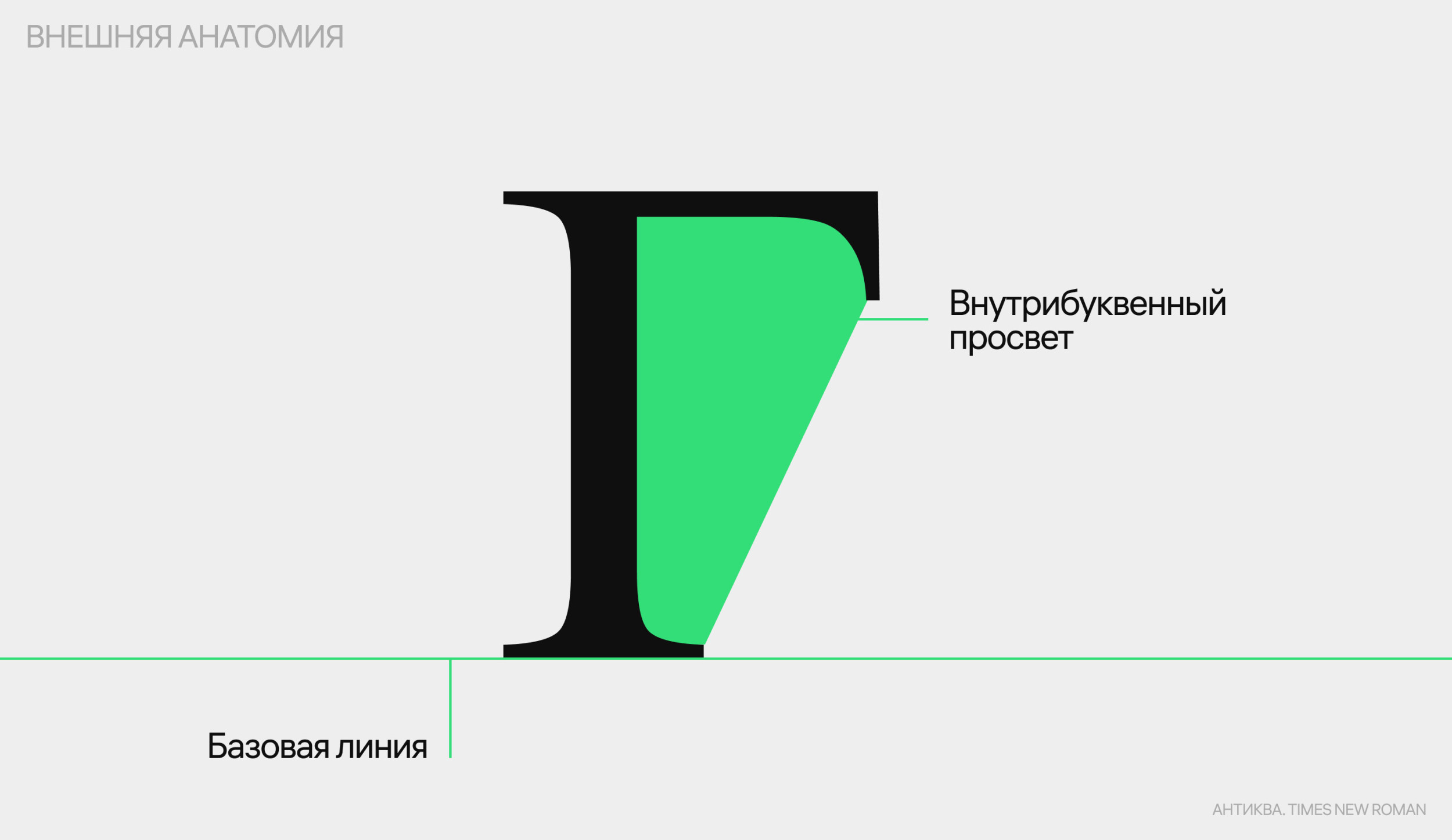 Время в дд. Буква п анатомия. Анатомия букв углы. Анатомия букв угоы. Анатомия буквы з.